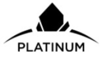 RE/MAX PLATINUM 2021