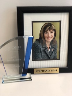 DFH 2019 Team Leader