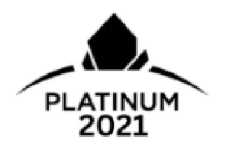 RE/MAX Platinum Award 2021
