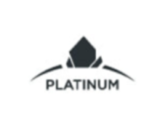 2022 RE/MAX Platinum Award