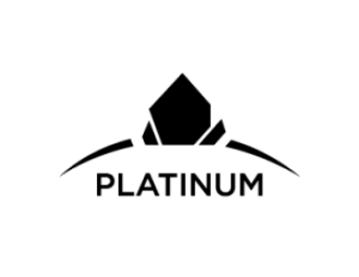 RE/MAX Platinum Award