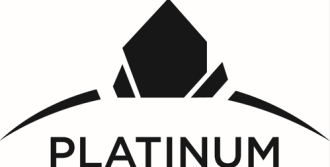 RE/MAX Platinum          Award 2021