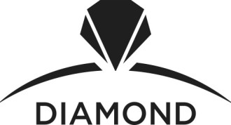 Diamond Team Award